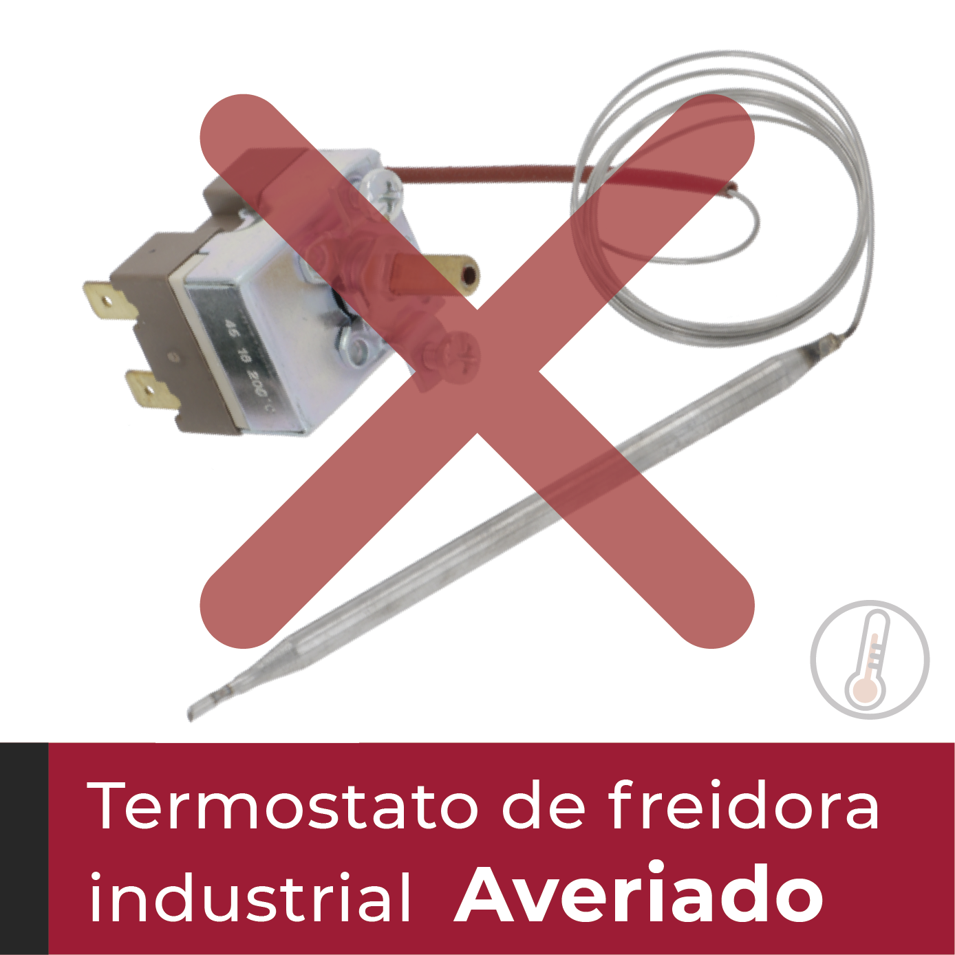 ¿Tú termostato de la freidora de hostelería se a dañado?