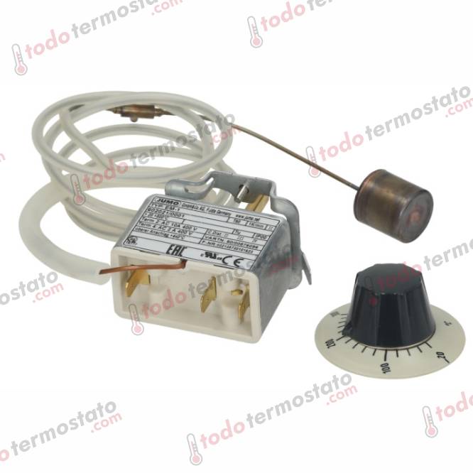 Termostato JUMO 376118 Rango 500°C 2 Datos técnicos de t