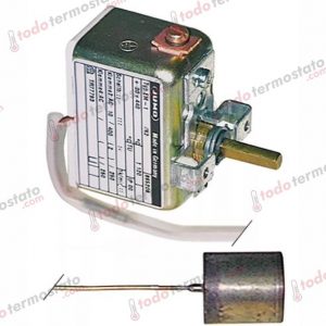 Termostato marca JUMO 576096 Rango de 500°C