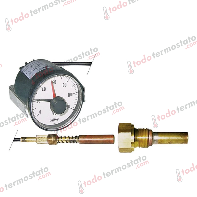 Termostato JUMO Rango 0 a 120 °C 1 Termostato marca JUMO con un rango de 0 a 120°C